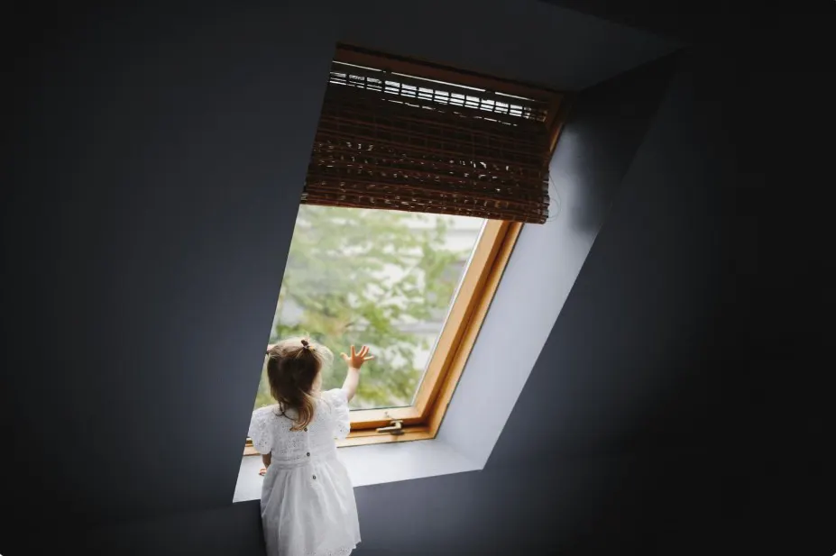 roof windows
